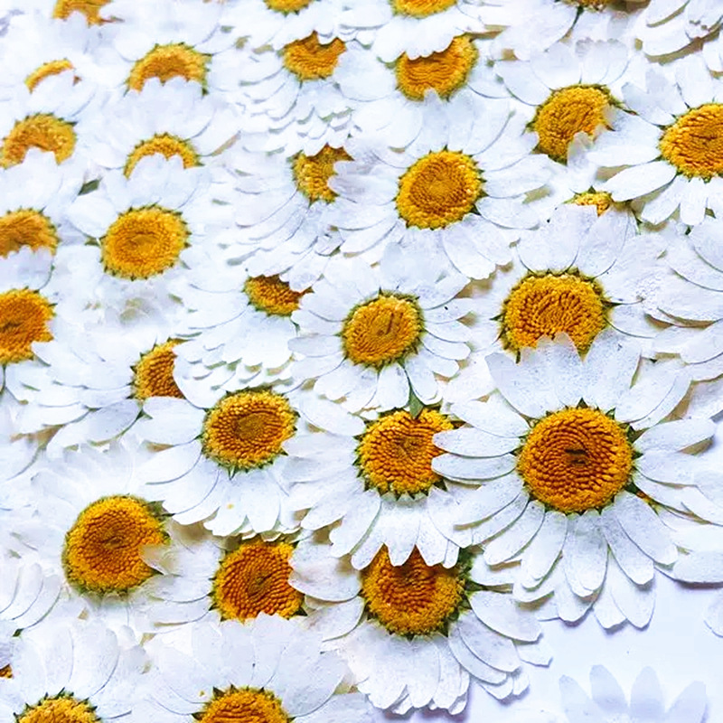 100Pcs Natural White Crystal C - Resin Craft Ideas recension och pris