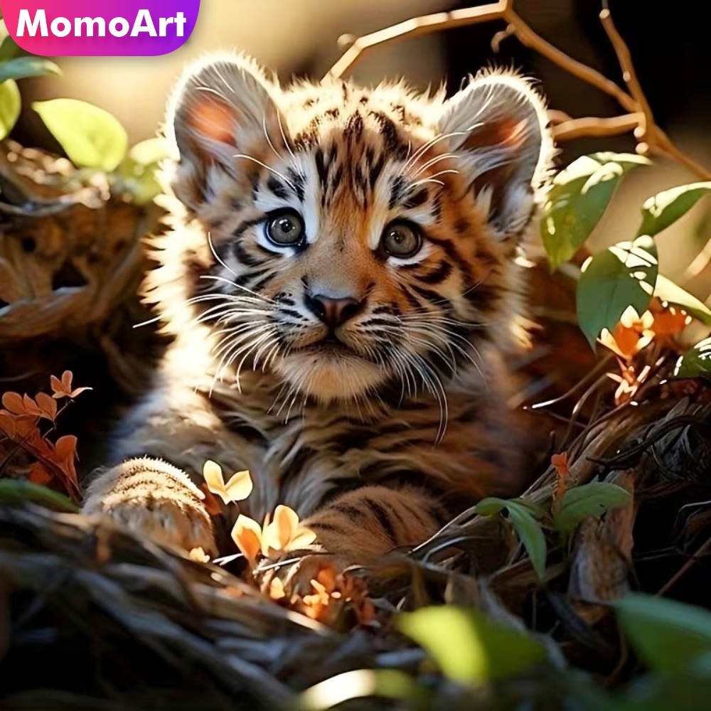 Momoart Diamond Painting Tiger - Resin Craft For Beginners recension och pris