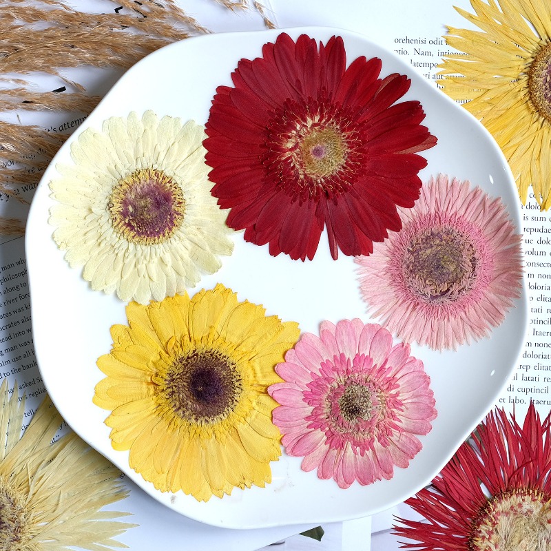 1pcs/7-9cm,Pressed Gerbera Dri - Resin Craft Ideas recension och pris