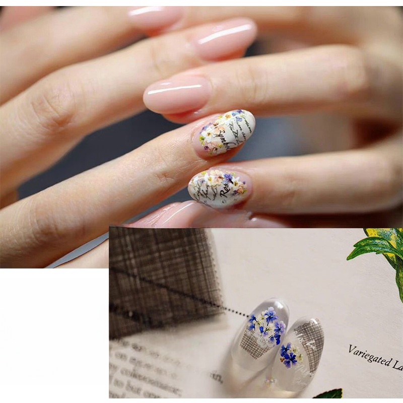 Mixed Small Dried Flowers Nail - Dried Flower Bulk recension och pris